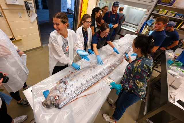 Forschende in Kalifornien haben Proben...n und erhoffen sich neue Erkenntnisse.  | Foto: Erik Jepsen/University of California San Diego/dpa