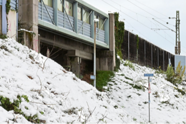 Die Bahn hat in Freiburg-St. Georgen erneut unerlaubt geschtzte Bume fllen lassen