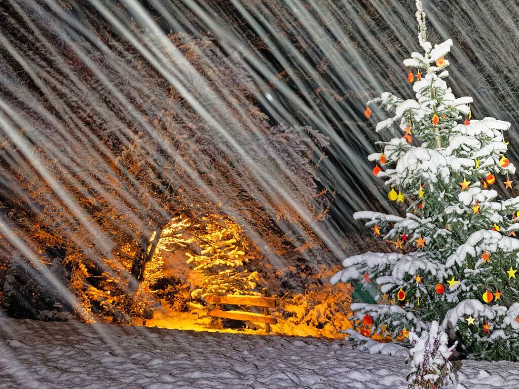 Der von vielen verschiedenen Menschen weihnachtlich geschmckte Glottertler Engelweg fhrt auf 4,5 Kilometern entlang der Weinberge durch die Ortsmitte von Glottertal.