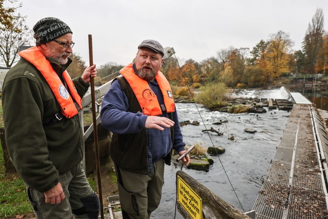 Fischwirt Dennis Bock (links) und Fisc...hen Wildlachsen bei der Fortpflanzung.  | Foto: Oliver Berg/dpa