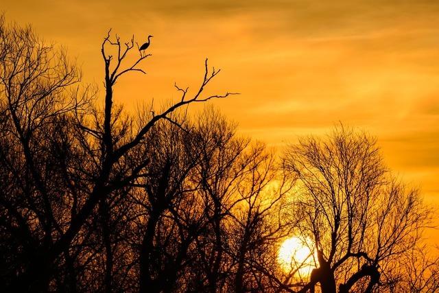 Ungewöhnlich mildes Novemberwetter zum Wochenbeginn