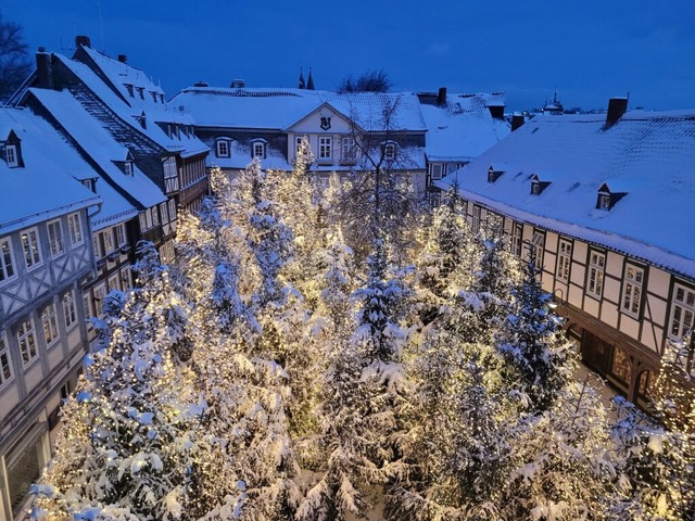 Nadelbume auf dem Schuhhof: In Goslar...in dem sich auch die Buden verstecken.  | Foto: --- (dpa)