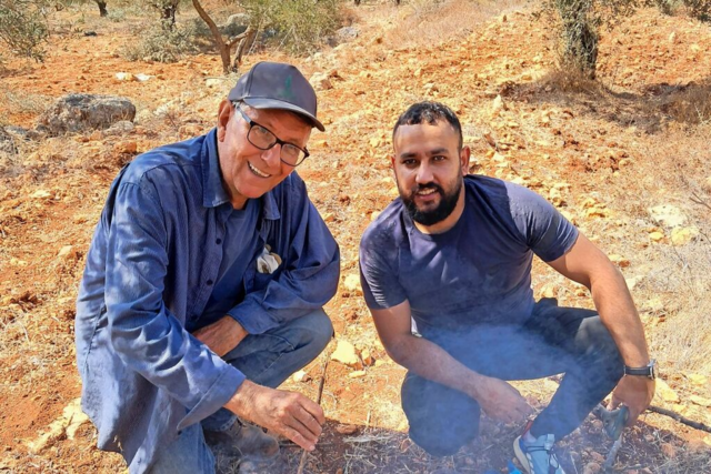 Ein Bonndorfer hilft im Westjordanland bei der Olivenernte