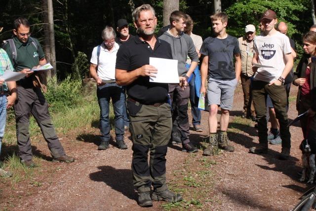 Schadholz diktiert der Stadt Herbolzheim den Forstbetriebsplan 2025