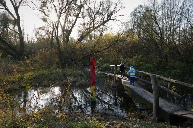 Der Auen-Wildnispfad bei Neuried-Altenheim ist zu jeder Jahreszeit reizvoll.  | Foto: Silke Kohlmann