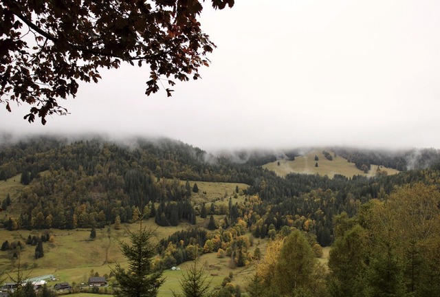 Blick ins romantische Menzenschwander Tal  | Foto: Lina Boegel