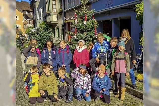 Kinder schmcken die Weihnachtsbume in Staufens Altstadt