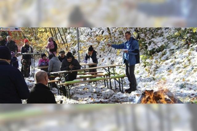 Holz aus dem Eichstetter Gemeindewald versteigert