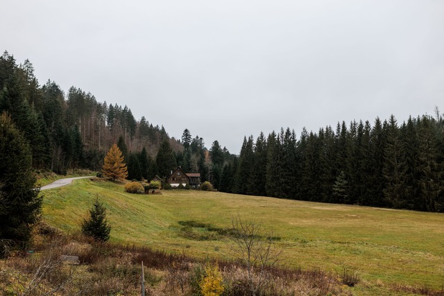 Ein Wohnhaus steht im Langenbachtal. D...Waldgenossenschaft Murgschifferschaft.  | Foto: Philipp von Ditfurth/dpa