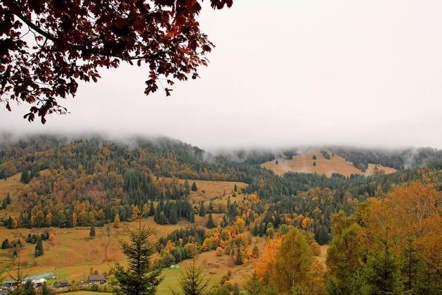 Als aus Menzenschwandern St. Blasier wurden