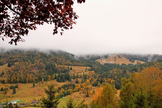 Blick ins romantische Menzenschwander Tal   | Foto: Lina Boegel