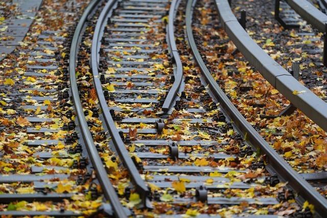 Der Ausbau der Rheintalbahn hat in Umkirch hauptschlich Lrm zur Folge - so die Sorge der Gemeinde