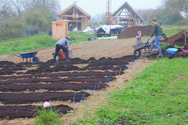 Startschuss: In Ettenheimweiler wird nun solidarische Landwirtschaft angeboten