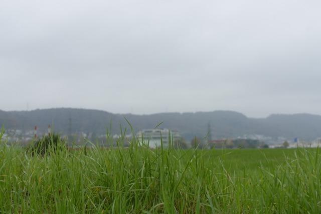 Das Schweizer Industriegebiet Sisslerfeld bei Bad Sckingen wird die Region verndern