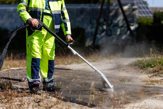 Ein Mitarbeiter der Stadt Kehl spritzt...nes riesigen Ameisenbaus. (Archivbild)  | Foto: Philipp von Ditfurth/dpa