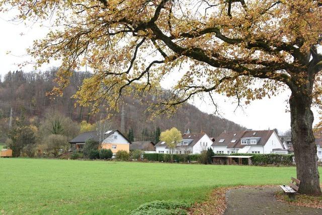 Im Hllsteiner Baugebiet  Scherracker sind noch  immer Baupltze   zu  haben