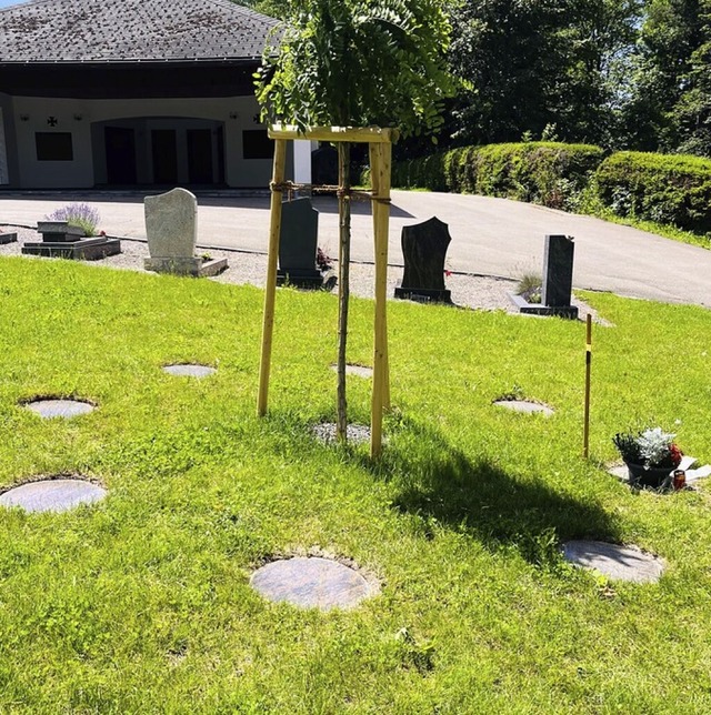 Urnengrabfeld auf dem Friedhof in Rtenbach  | Foto: Sonja Niederer