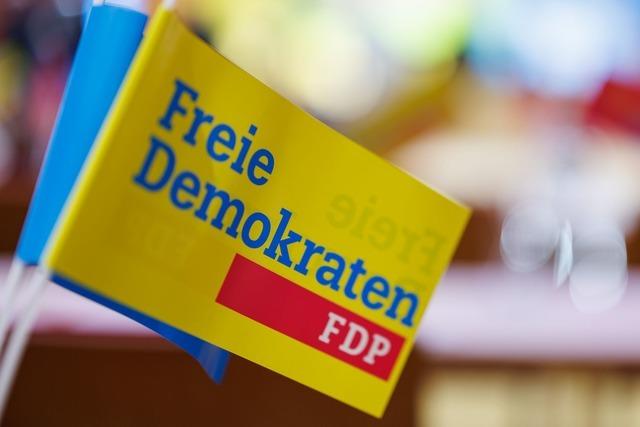 FDP veröffentlicht 