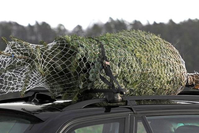 Weihnachtsbaum fällt auf A81 - Schaden an mehreren Autos