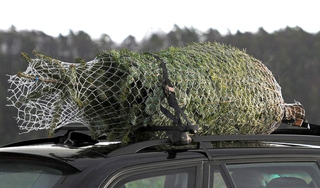 Ein Weihnachtsbaum ist von einem Fahrzeug auf die A81 gefallen (Symbolbild)  | Foto: David-Wolfgang Ebener/dpa/dpa-tmn