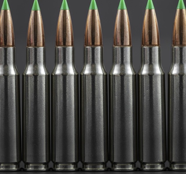 Der Verurteilte hatte Munition in eine...ahrt. Unser Symbolbild zeigt Patronen.  | Foto: Hypnotik Photography  (stock.adobe.com)