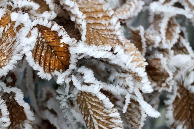 Frostiger erster Advent - Regen und Wolken zum Wochenstart