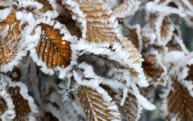 F&uuml;r den ersten Advent sagte der D...t und Gl&auml;tte vorher. (Symbolfoto)  | Foto: Thomas Warnack/dpa