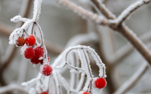 Nach einem frostigen ersten Advent erw...dienst mildere Temperaturen und Regen.  | Foto: Thomas Warnack/dpa