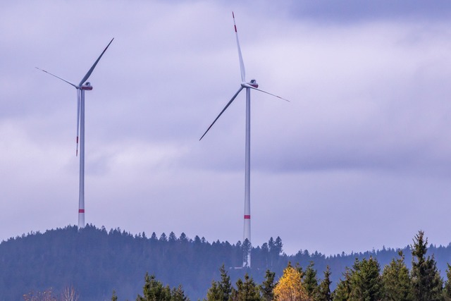 Windrder sind im Schwarzwald umstrittem - hier zwei Exemplare bei Husern.  | Foto: Wilfried Dieckmann