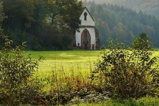 Ein neuer Wanderweg fhrt rund um das Kloster Tennenbach