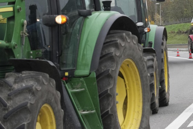 Bei den Landwirten ist das Mercosur-Abkommen  umstritten.  | Foto: Christophe Ena (dpa)