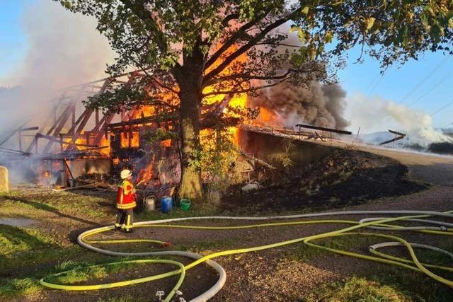 Feuer und Flamme: Die Arbeit der Wehren in der Region