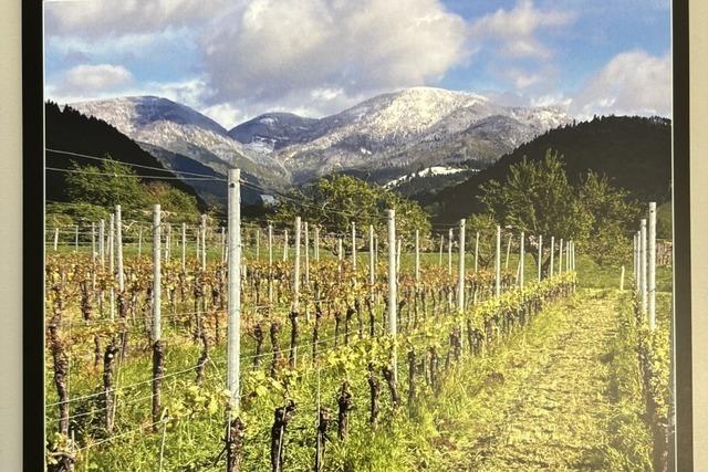 Brgerinitiative Umweltschutz Staufen bringt fr 2025 wieder einen Kalender heraus