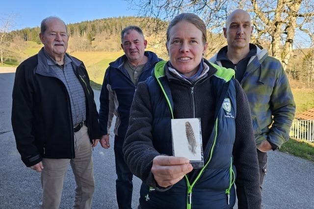 Eine Auerhuhnfeder spendet Gegnern von Windkraftanlagen am Zeller Blauen Hoffnung