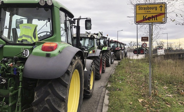 Traktoren stehen whrend der Bauerndem...ation auf der gesperrten Europabrcke.  | Foto: Christian Bhmer (dpa)