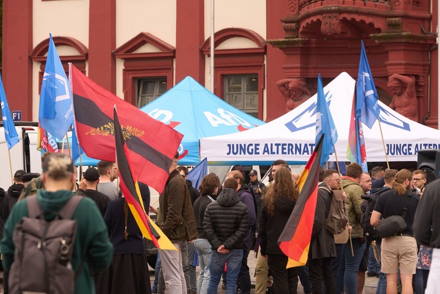 Die AfD will sich von ihrer Nachwuchso...nge Alternative" trennen. (Archivbild)  | Foto: Thomas Frey/dpa