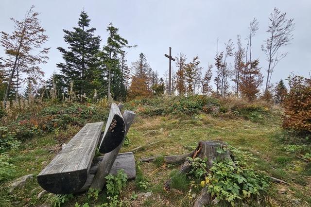 Biosphrengebiet kann sich Windparks im Sdschwarzwald vorstellen -Schwarzwaldverein bt deutliche Kritik