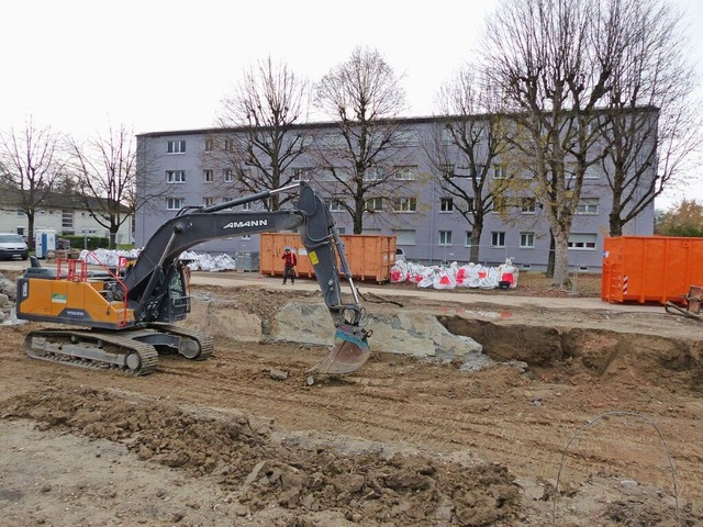 Von dem Haus mit franzsischen Armeean...e 2/4 sind nur noch Kellerwnde brig.  | Foto: Dirk Sattelberger