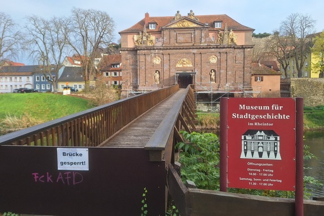 Die Brcke ber den Schwanenweiher ble...dtgeschichte hat aber weiterhin offen.  | Foto: Dirk Sattelberger