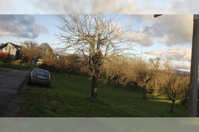 Adelhausen bekommt bald eine Natur-Kita