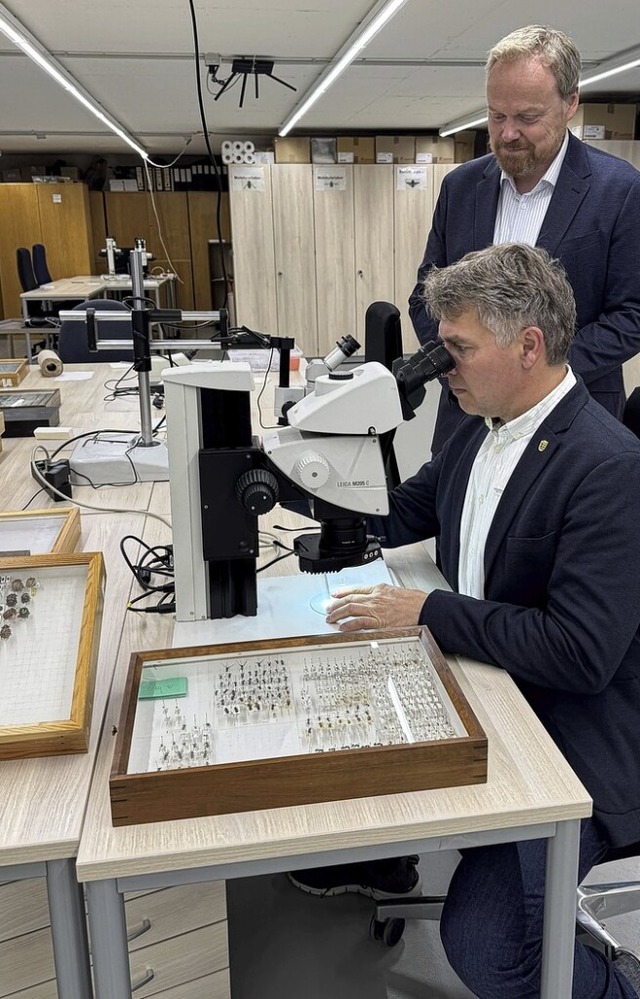 Lars Krogmann und Bernd Mettenleiter (...Mikroskop Ameisen der Gattung Tapinoma  | Foto: Martina Moser