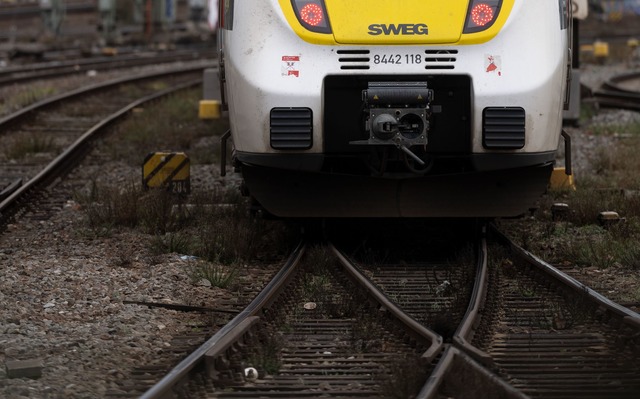 Fahrg&auml;ste im S&uuml;dwest-Nahverk...ch mit Problemen rechnen. (Archivbild)  | Foto: Marijan Murat/dpa