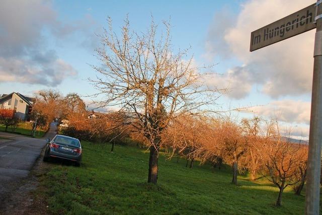 Adelhausen bekommt bald eine Natur-Kita mit 40 Pltzen