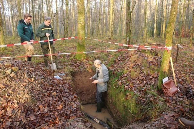 Bodenprofile sollen im Kreis Emmendingen etwas ber den Zustand des Waldbodens verraten