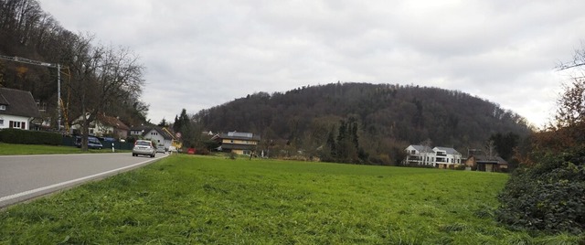 Im Gewann &#8222;Kaibacker&#8220; am O...it Jahren vergeblich ein Neubaugebiet.  | Foto: Boris Burkhardt