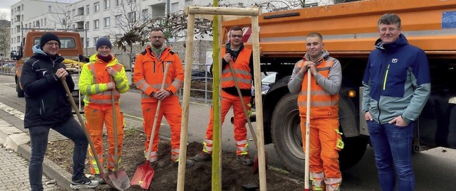 Baumpflanzaktion fr eine Grn-Achse a...n Silberlinde in der Ortenbergerstrae  | Foto: Carola Bruhier agoodStory