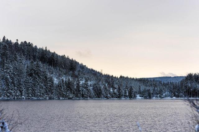 Starke Regenflle knnten erneut Gift in den Windgfllweiher splen