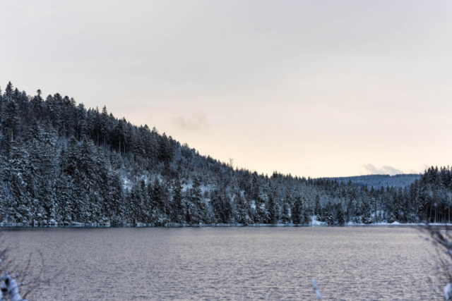 Starke Regenflle knnten erneut Gift in den Windgfllweiher splen