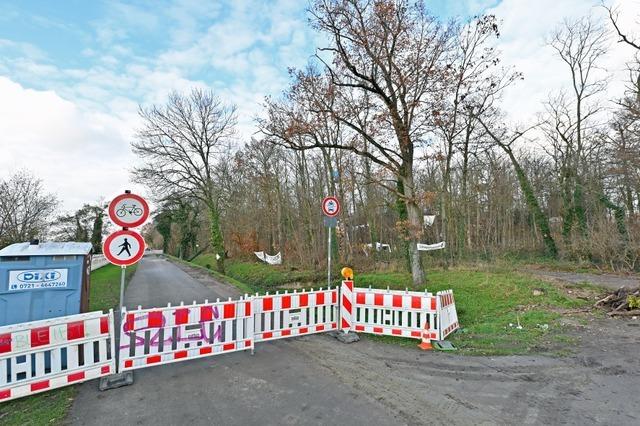 Fragen und Antworten zur Teilrodung des Langmattenwldchens fr den Freiburger Stadtteil Dietenbach