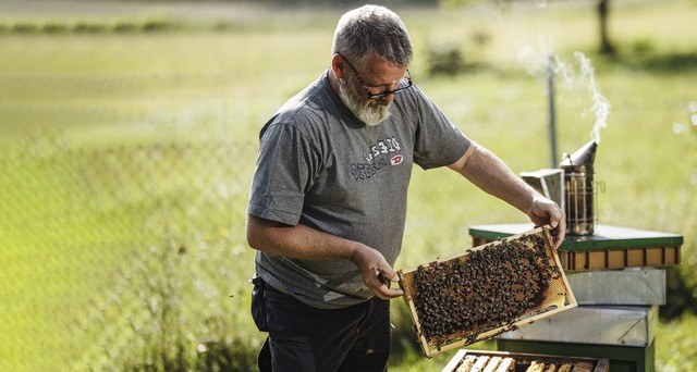 Edgar Sparwasser aus dem Lahrer Ortsteil Mietersheim bei der Arbeit.  | Foto: Thomas Sattler (Stadt Lahr)